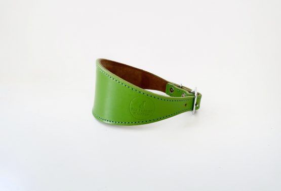 whippet greyhound collar