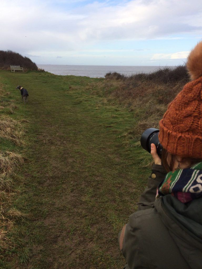 The Trendy Whippet 'in action'