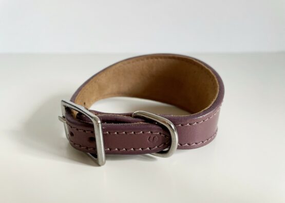 whippet greyhound collar
