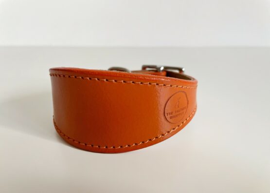 whippet greyhound collar