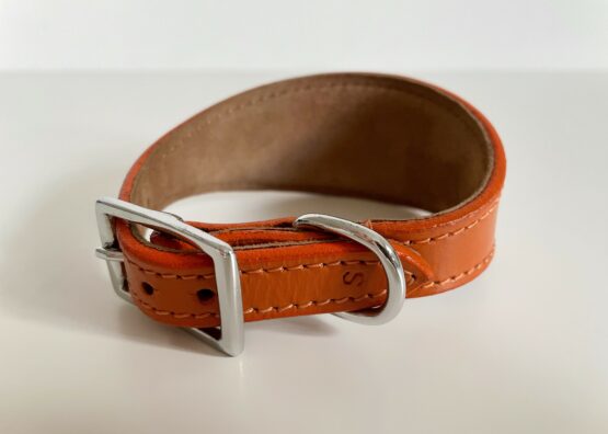 whippet greyhound collar