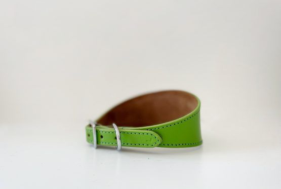 whippet greyhound collar