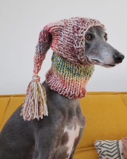 whippet greyhound hat