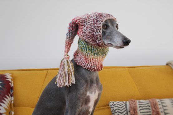 whippet greyhound hat