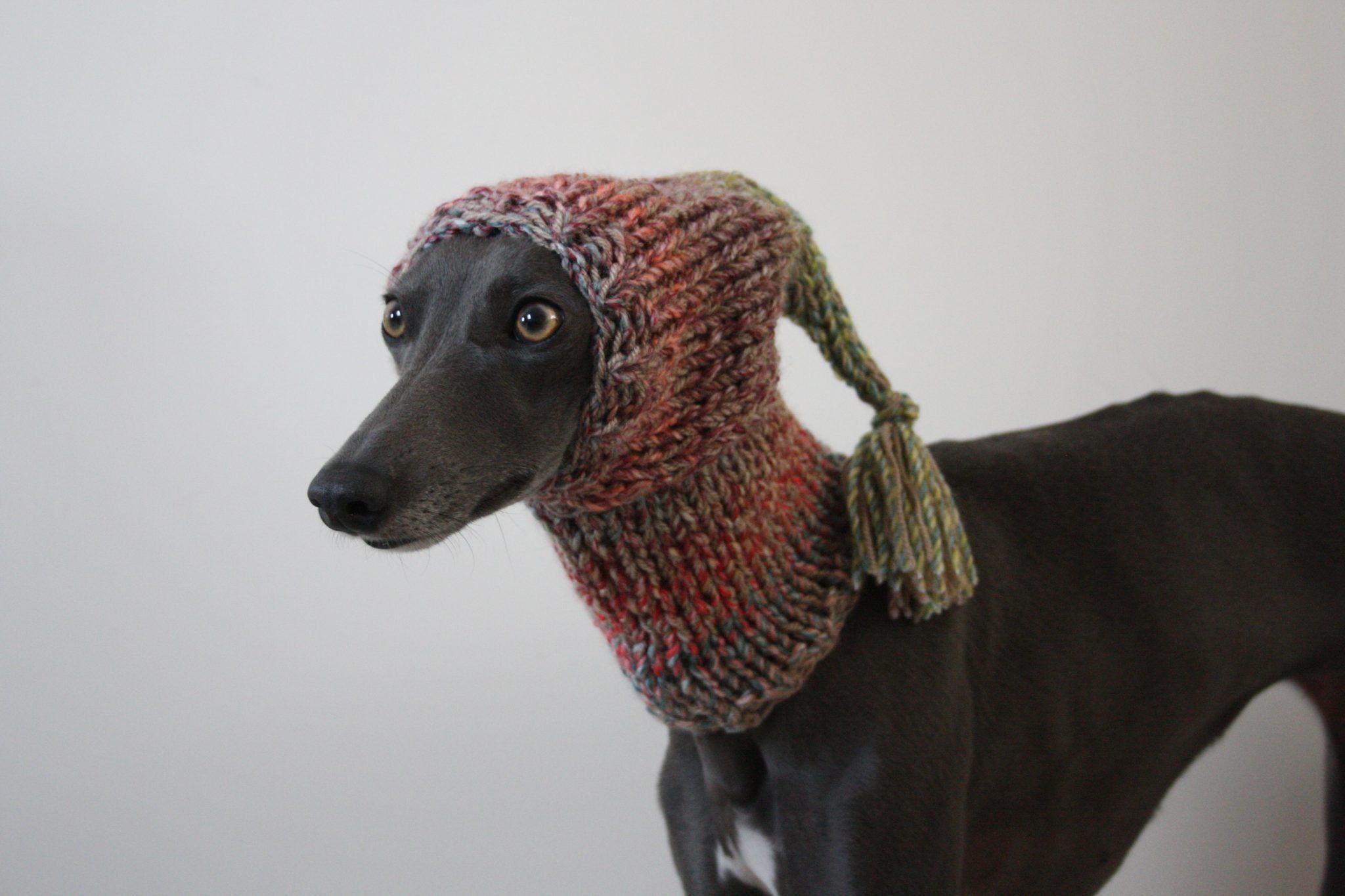 Whippet Pink Knit Tassel Hat Greyhound Italian Greyhound Sighthound