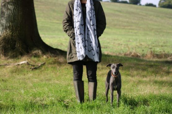 Dove Grey Whippet Greyhound Print Scarf - Image 2