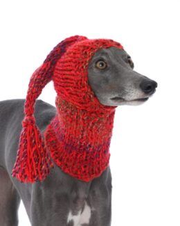 whippet greyhound hat