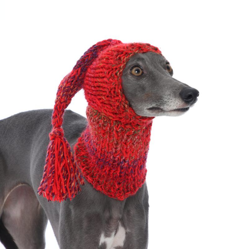Whippet Red Knit Hat Greyhound Italian Sighthound Lurcher
