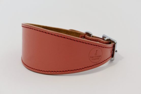 whippet greyhound collar