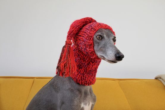 whippet greyhound hat