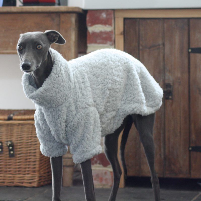 Grey Fluffy Fleece Jumper Whippet Greyhound Italian Sighthound