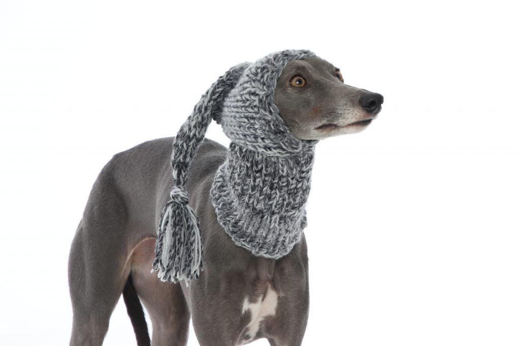 Whippet Grey Knit Hat Greyhound, Lurcher , Italian Sighthound