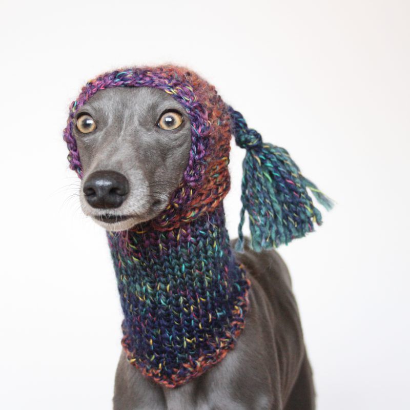 Whippet Rainbow Knit Hat Snood Greyhound Italian Sighthound Lurcher