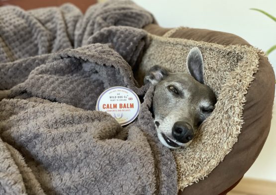 whippet greyhound balm