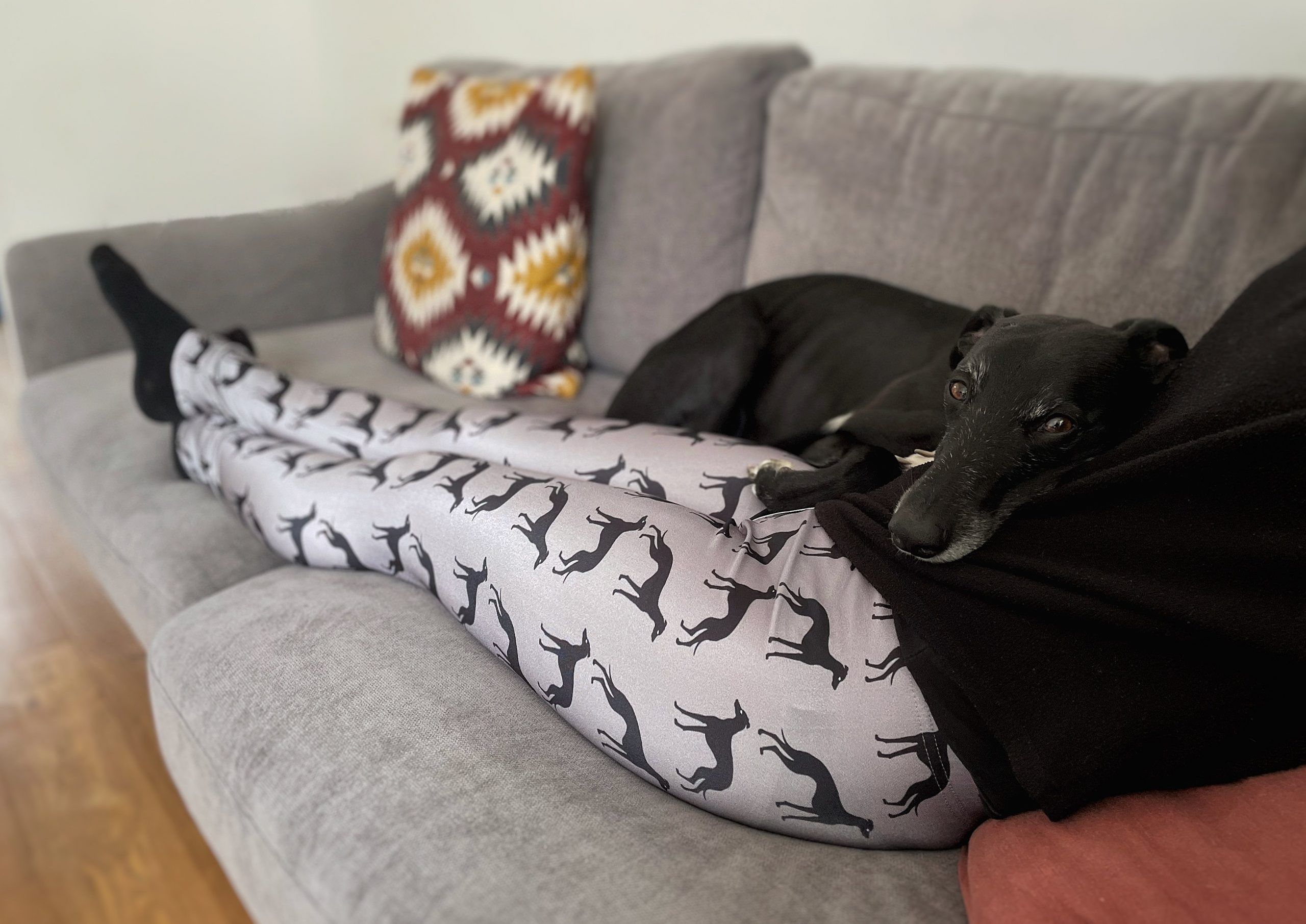 Grey Whippet Print Leggings | Greyhound Lurcher Italian Sighthound