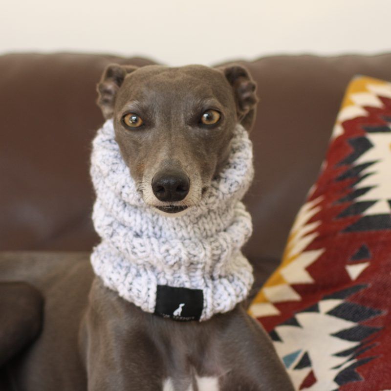 Whippet Grey Knit Neck Warmer Greyhound Italian Lurcher