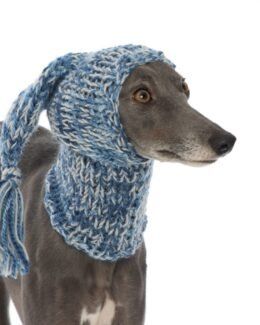 whippet greyhound hat