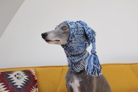 whippet greyhound hat