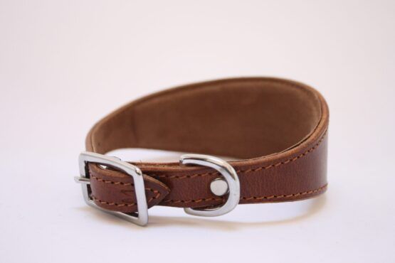 whippet greyhound collar