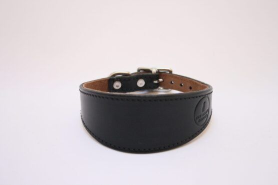 whippet greyhound collar