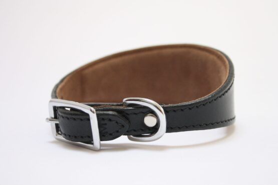 whippet greyhound collar