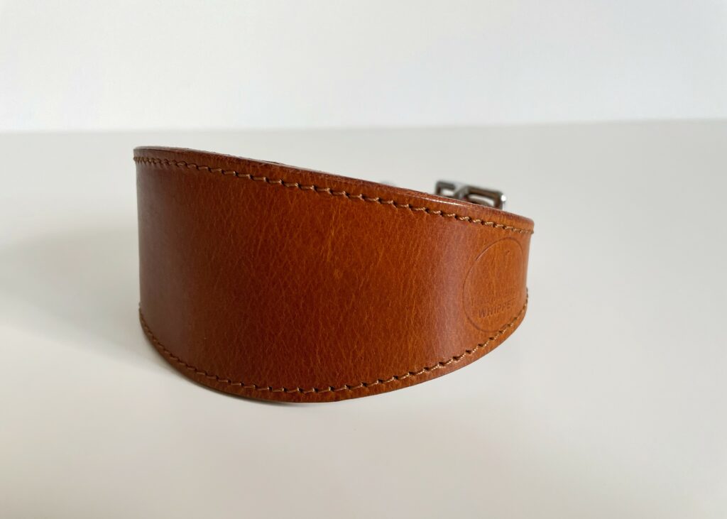 COLLARE PELLE SOFT BIANCO PER LEVRIERO, WHIPPET, PLI | Code Vanitose - Foto 7