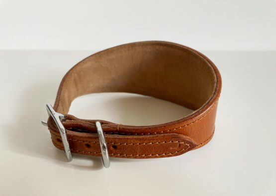whippet greyhound collar