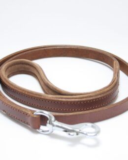 whippet greyhound lead leash