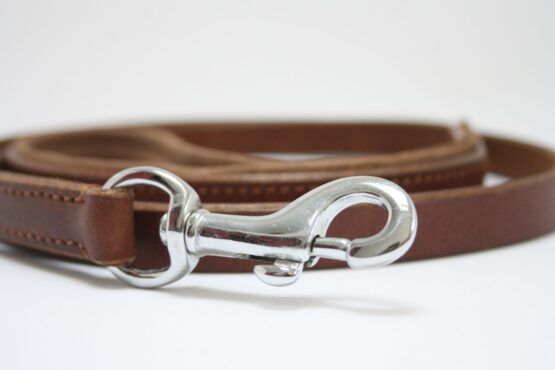 whippet greyhound lead leash