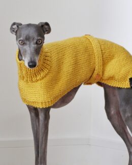 whippet greyhound jumper