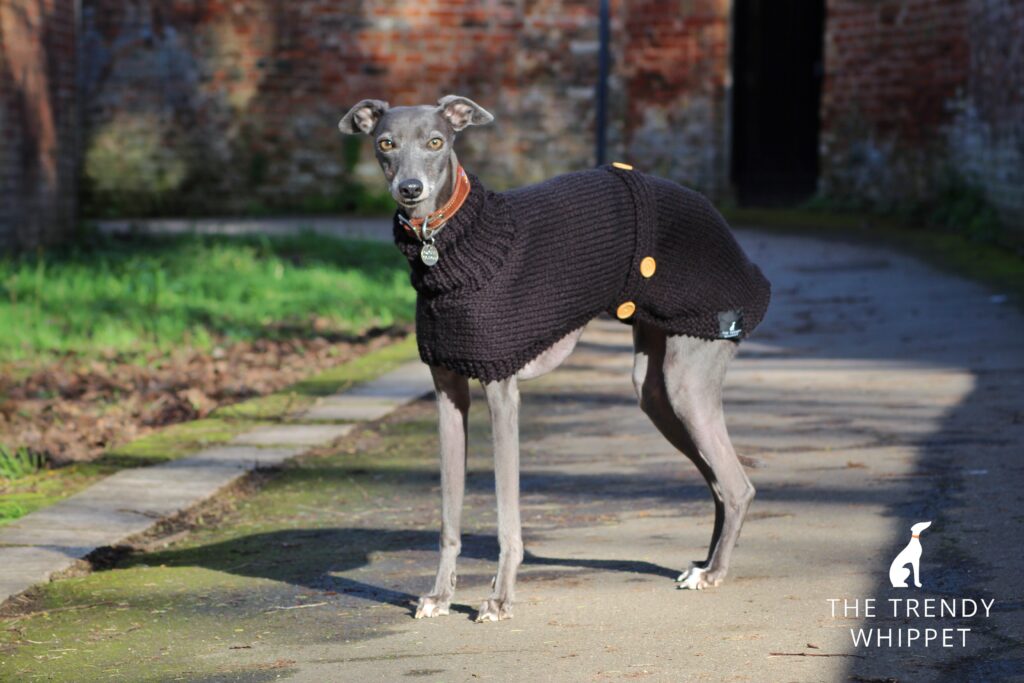 Hand Knitted Black Whippet Jumper Greyhound, Italian Lurcher