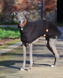 whippet greyhound jumper