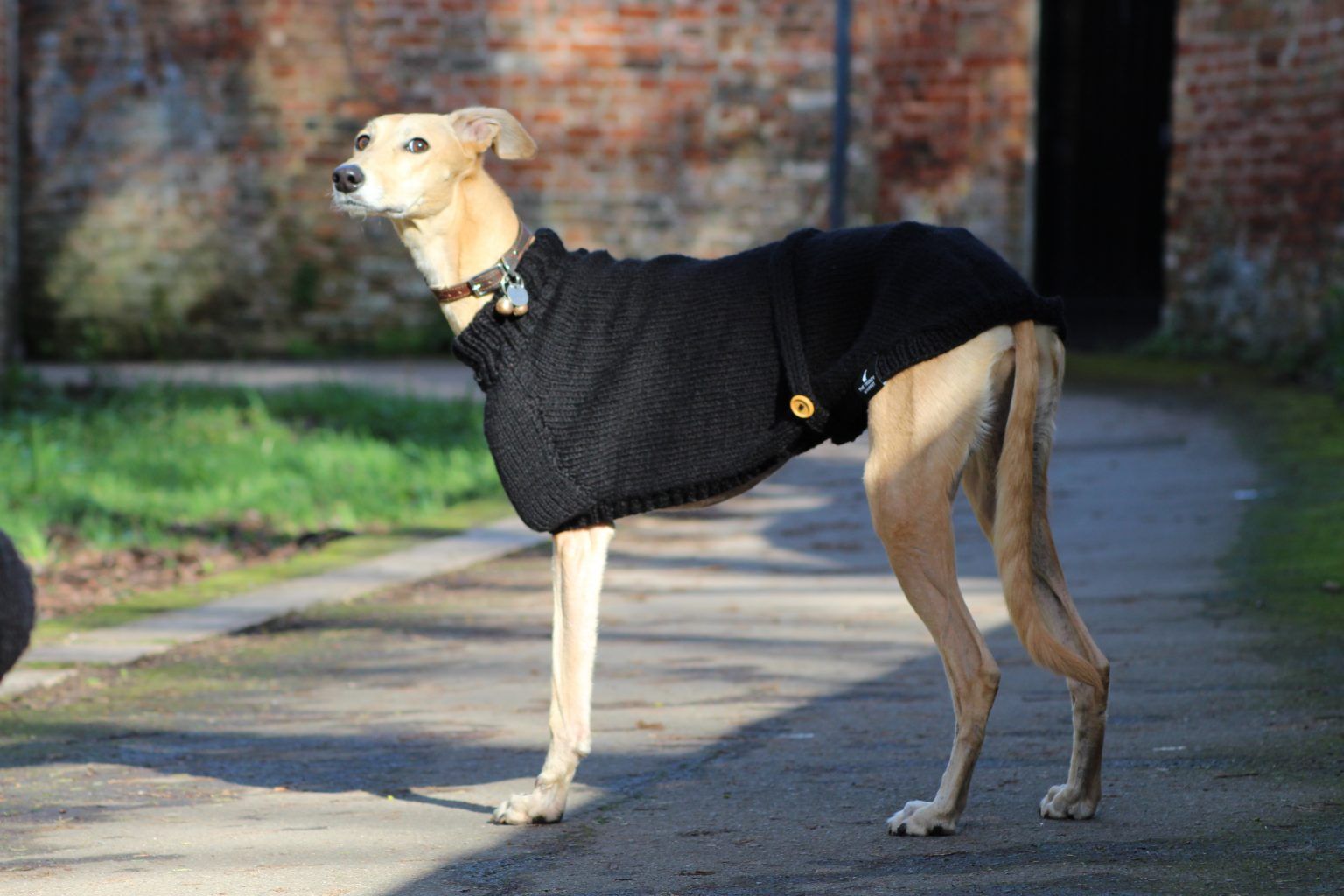 Hand Knitted Black Whippet Jumper Greyhound, Italian Lurcher