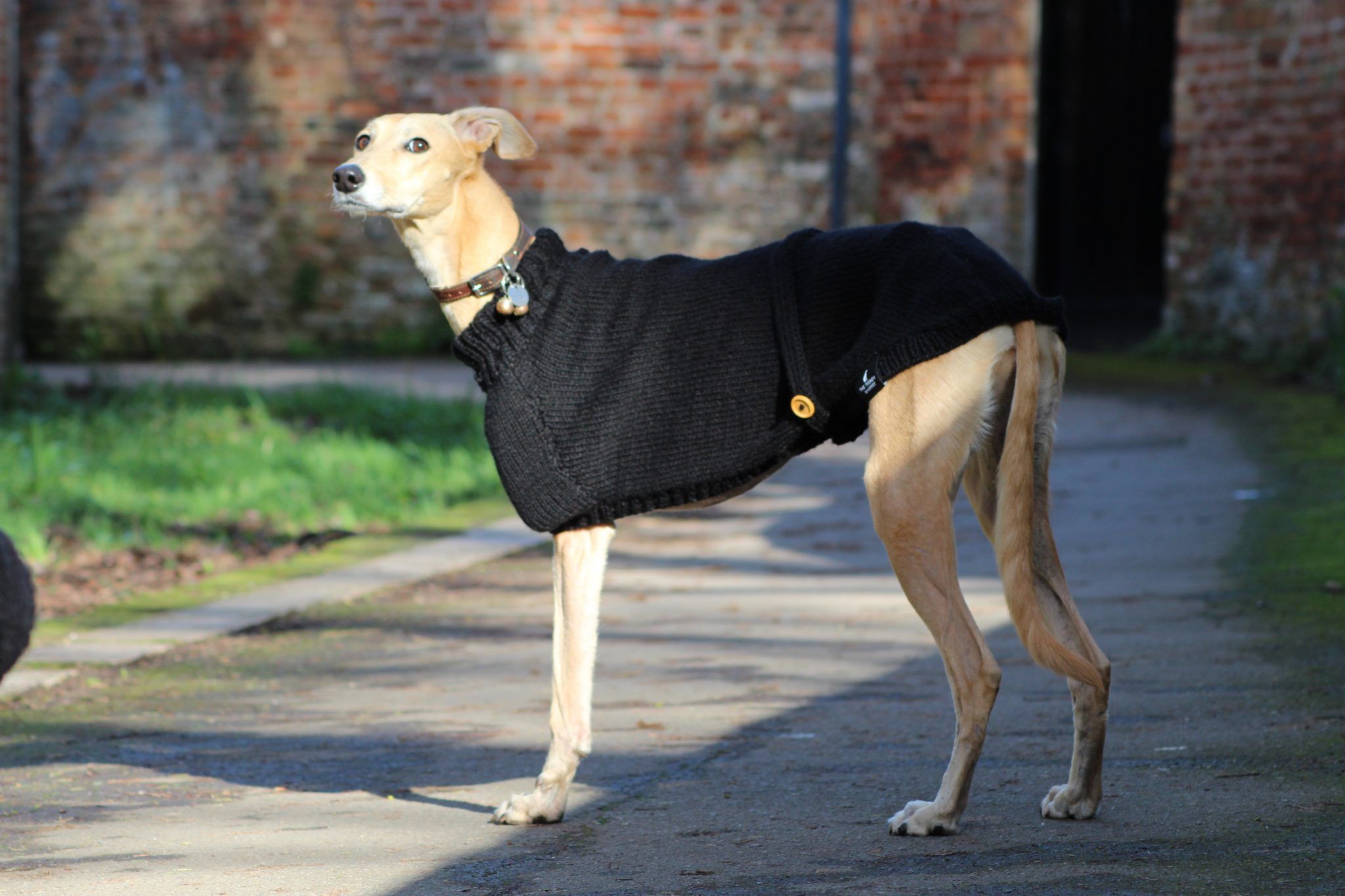 Hand Knitted Black Whippet Jumper Greyhound, Italian Lurcher