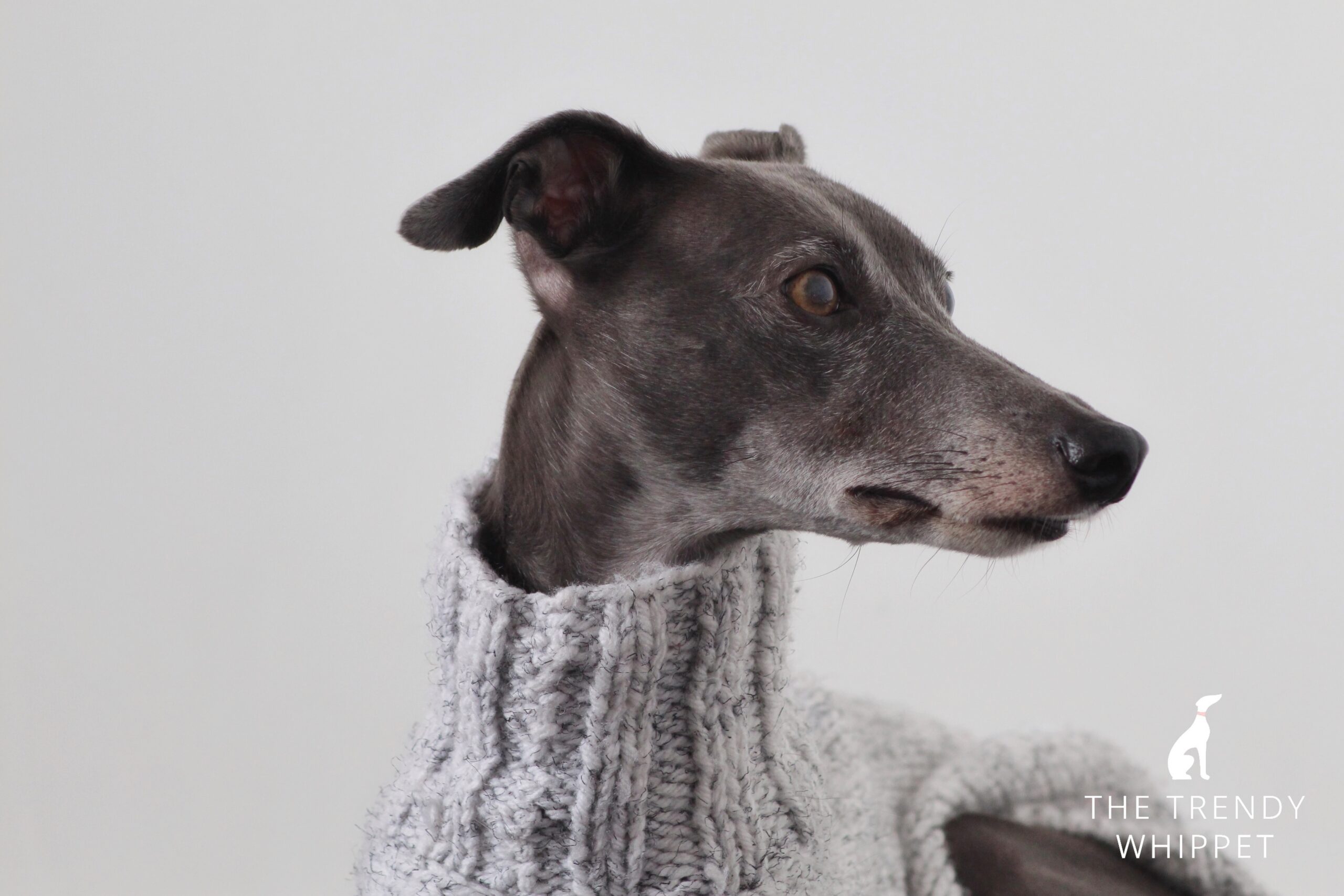 thumbnail image 2 of Winter Dog High Collar Jumper Coat – Waterproof & Warm Fleece Jacket For Greyhound, Whippet, Lurcher (M/L/XL) 2 of 3