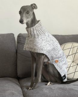 whippet greyhound jumper