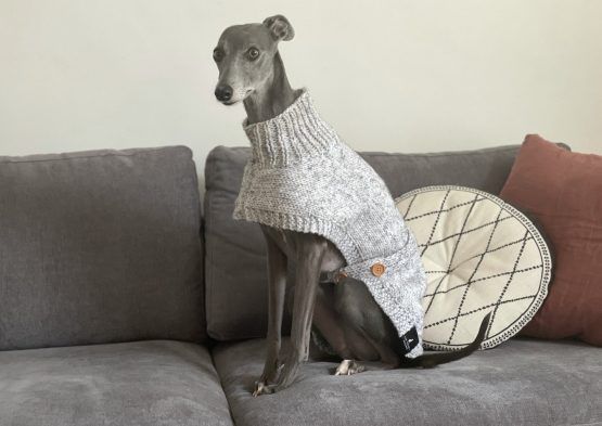 whippet greyhound jumper