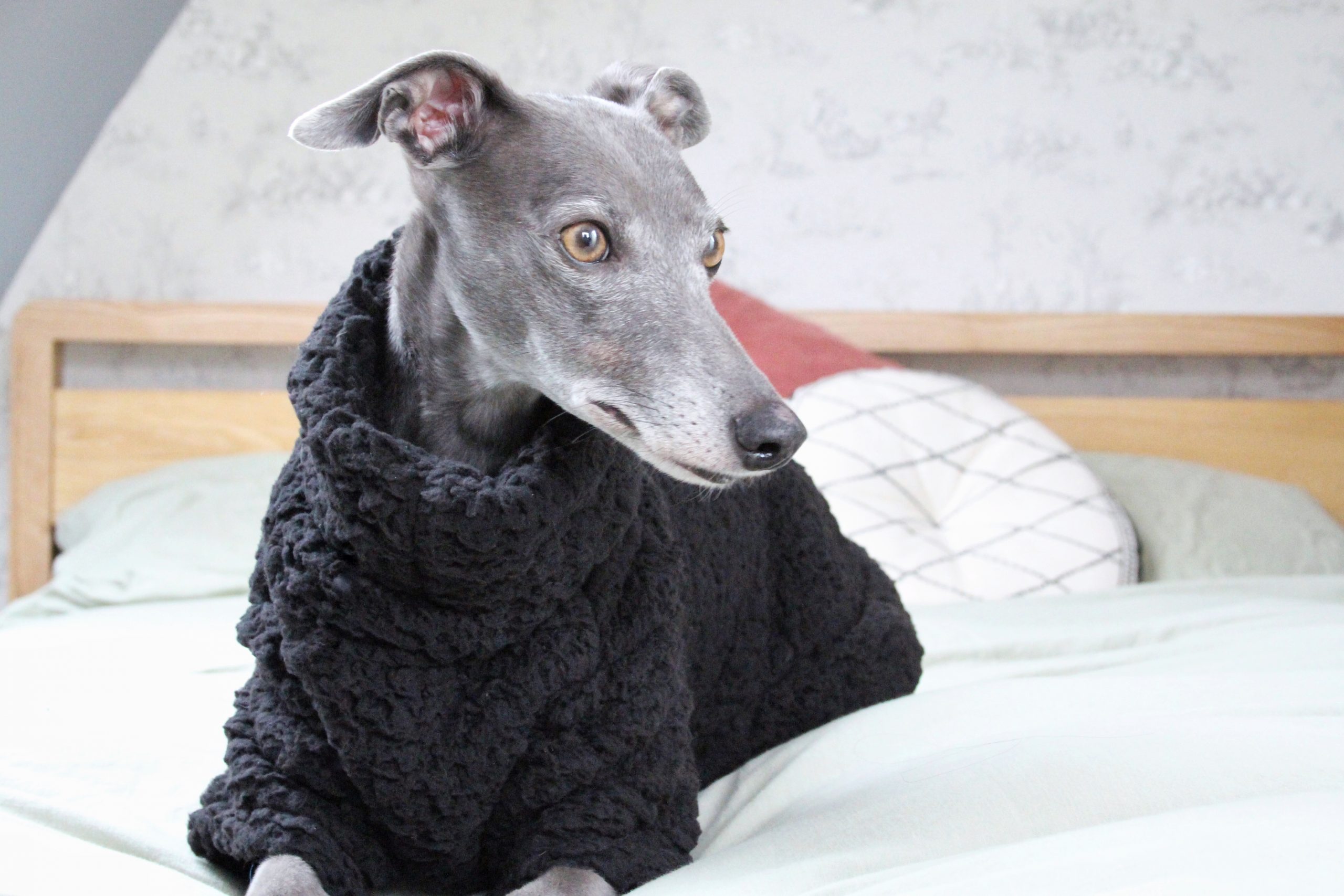Black Fluffy Fleece Whippet Jumper Greyhound Italian Lurcher