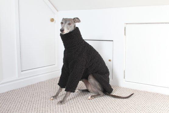 whippet greyhound jumper