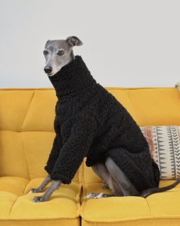 whippet greyhound jumper