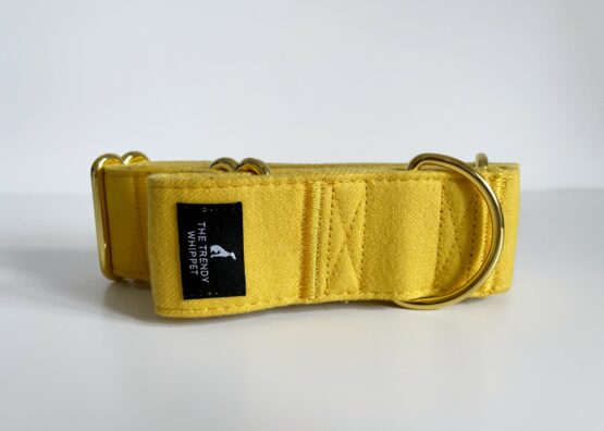 whippet greyhound collar