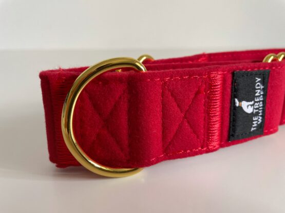 whippet greyhound collar
