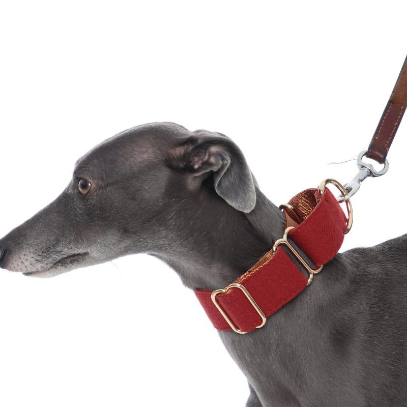 Wine Red Martingale Collar Whippet Greyhound Italian Sighthound Lurcher
