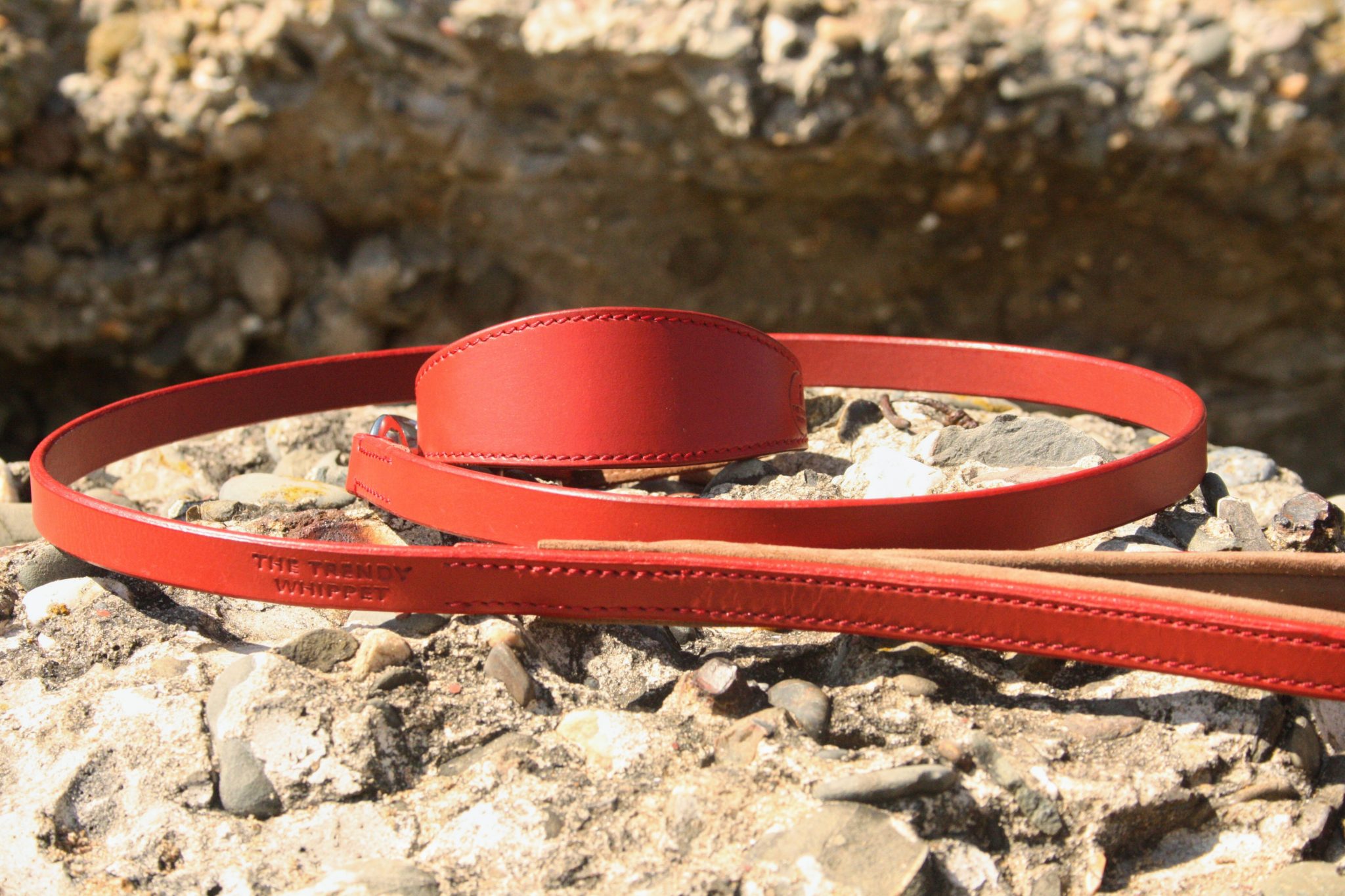 LEATHER GREYHOUND COLLAR – Poldo Dog Couture