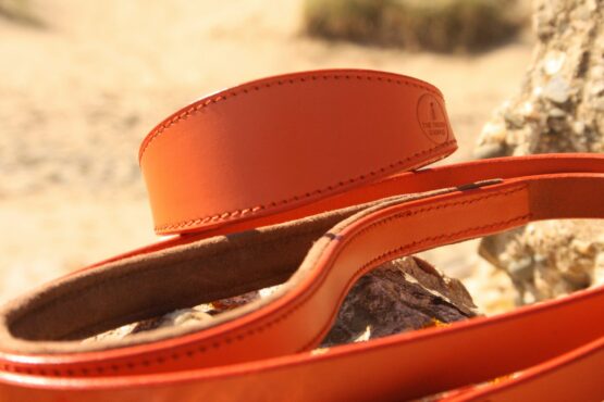 orange leather lead