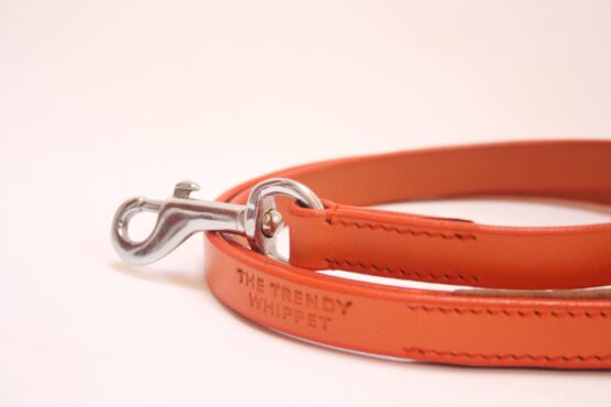 orange leather lead