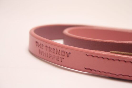 pink leather lead