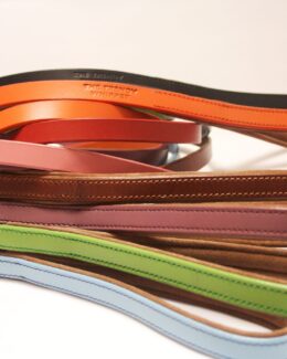 Leather Leads