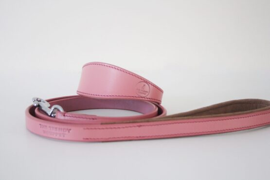 whippet greyhound lead collar