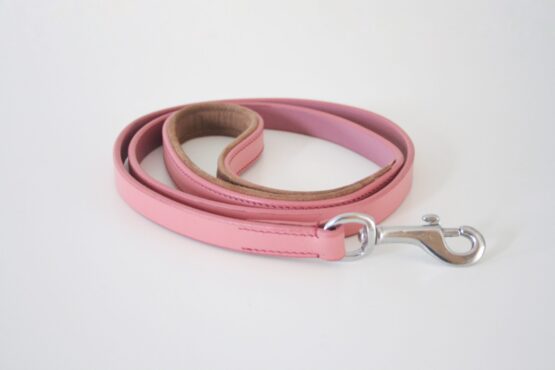whippet greyhound lead